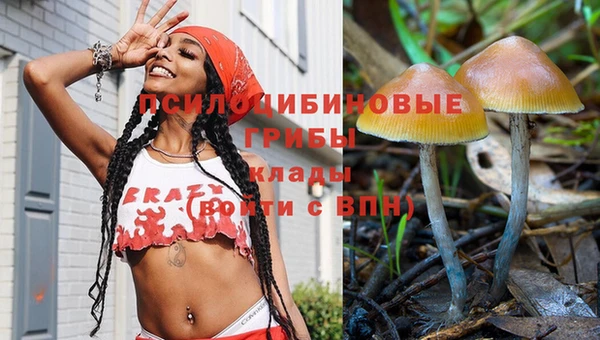 apvp Дмитров