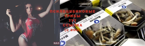 apvp Дмитров