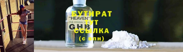 прущие грибы Чегем