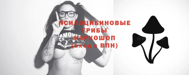 apvp Дмитров