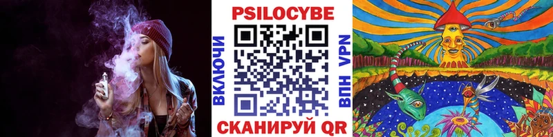 Псилоцибиновые грибы Psilocybe  ОМГ ОМГ зеркало  Оха 